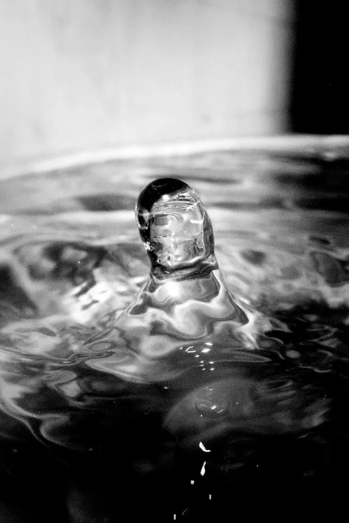 Adam's Ale in Black and White